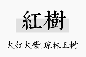 红树名字的寓意及含义