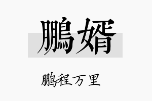 鹏婿名字的寓意及含义