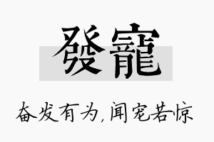 发宠名字的寓意及含义