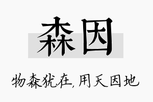 森因名字的寓意及含义