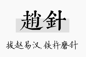 赵针名字的寓意及含义