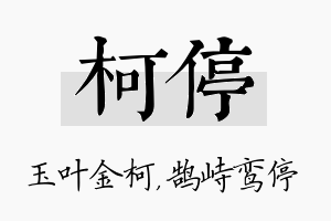 柯停名字的寓意及含义