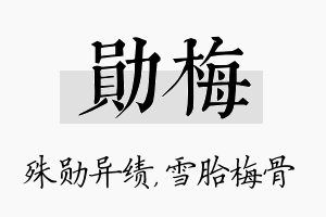 勋梅名字的寓意及含义