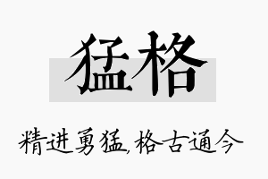 猛格名字的寓意及含义