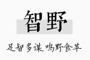 智野名字的寓意及含义