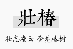 壮椿名字的寓意及含义