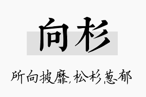 向杉名字的寓意及含义