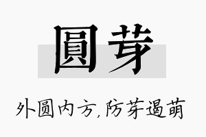 圆芽名字的寓意及含义