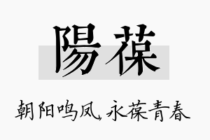 阳葆名字的寓意及含义