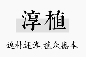 淳植名字的寓意及含义