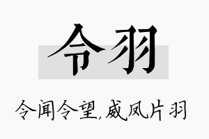 令羽名字的寓意及含义