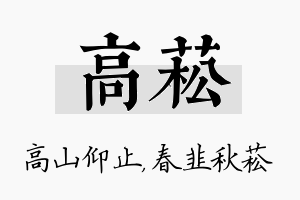 高菘名字的寓意及含义