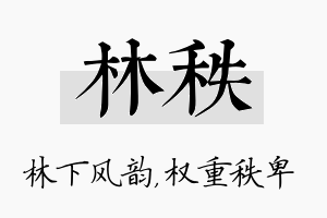 林秩名字的寓意及含义