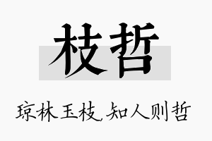 枝哲名字的寓意及含义