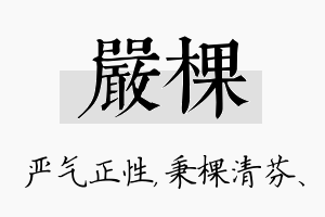 严棵名字的寓意及含义