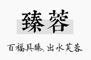 臻蓉名字的寓意及含义