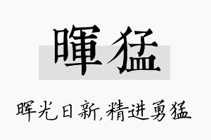 晖猛名字的寓意及含义