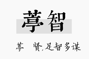 葶智名字的寓意及含义