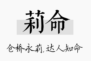 莉命名字的寓意及含义