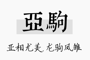 亚驹名字的寓意及含义