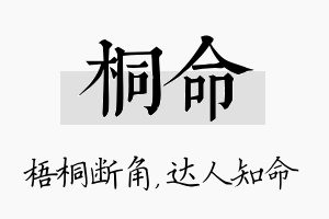 桐命名字的寓意及含义