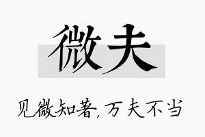 微夫名字的寓意及含义