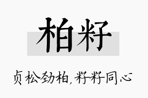 柏籽名字的寓意及含义