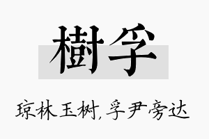 树孚名字的寓意及含义