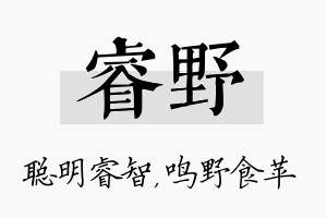 睿野名字的寓意及含义