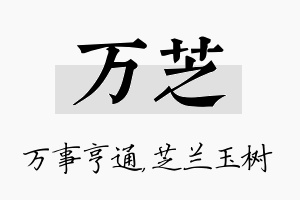 万芝名字的寓意及含义