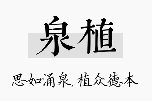 泉植名字的寓意及含义