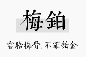 梅铂名字的寓意及含义