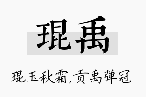 琨禹名字的寓意及含义