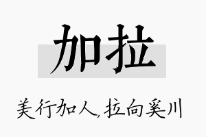 加拉名字的寓意及含义