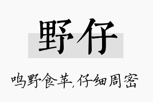 野仔名字的寓意及含义