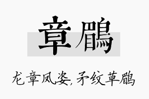 章鹛名字的寓意及含义