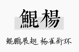 鲲杨名字的寓意及含义