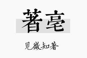 著亳名字的寓意及含义