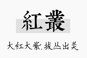 红丛名字的寓意及含义