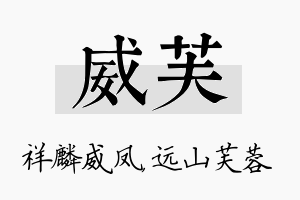 威芙名字的寓意及含义