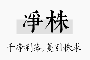 净株名字的寓意及含义