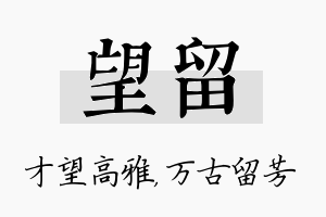 望留名字的寓意及含义