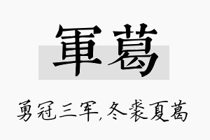 军葛名字的寓意及含义