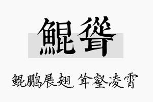 鲲耸名字的寓意及含义