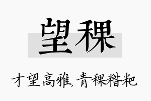 望稞名字的寓意及含义