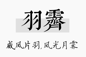 羽霁名字的寓意及含义