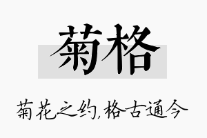 菊格名字的寓意及含义