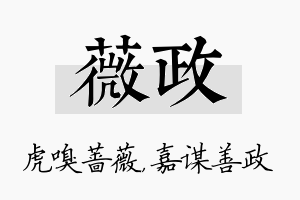 薇政名字的寓意及含义