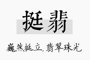 挺翡名字的寓意及含义