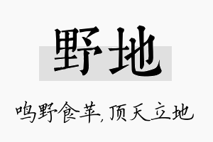 野地名字的寓意及含义